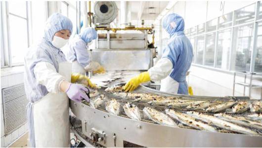 食品廠除塵系統(tǒng)的優(yōu)化方案與日用雜品生產(chǎn)應(yīng)用實(shí)踐